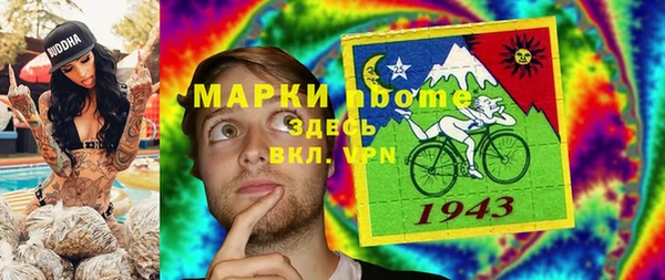 индика Верея