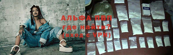 индика Верея