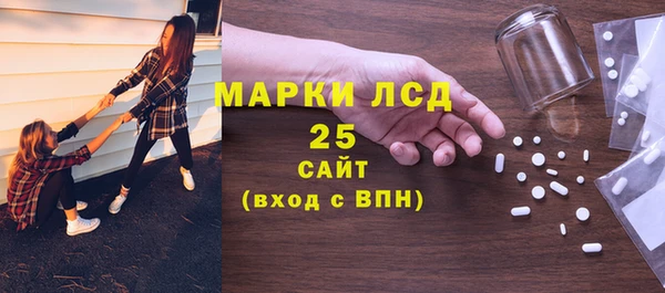 индика Верея