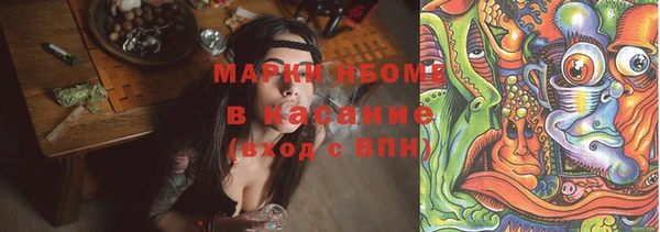 индика Верея
