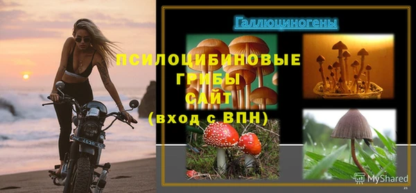индика Верея