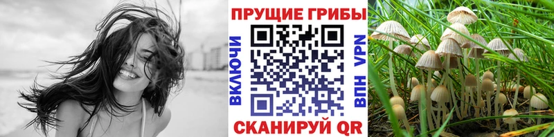 Псилоцибиновые грибы GOLDEN TEACHER  цена наркотик  Кириллов 